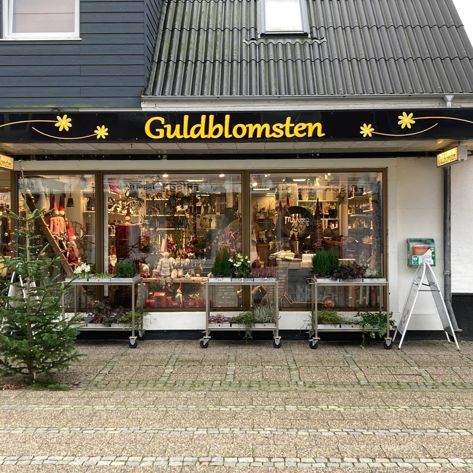 Guldblomsten