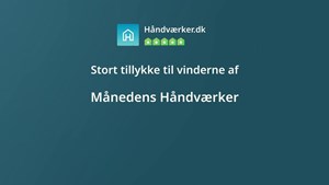 opslagsbillede