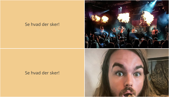 Oplev denne weekend i Brovst: Musikshow og dyrefascination