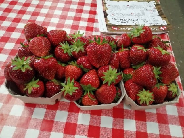 En finger på pulsen i Sæby