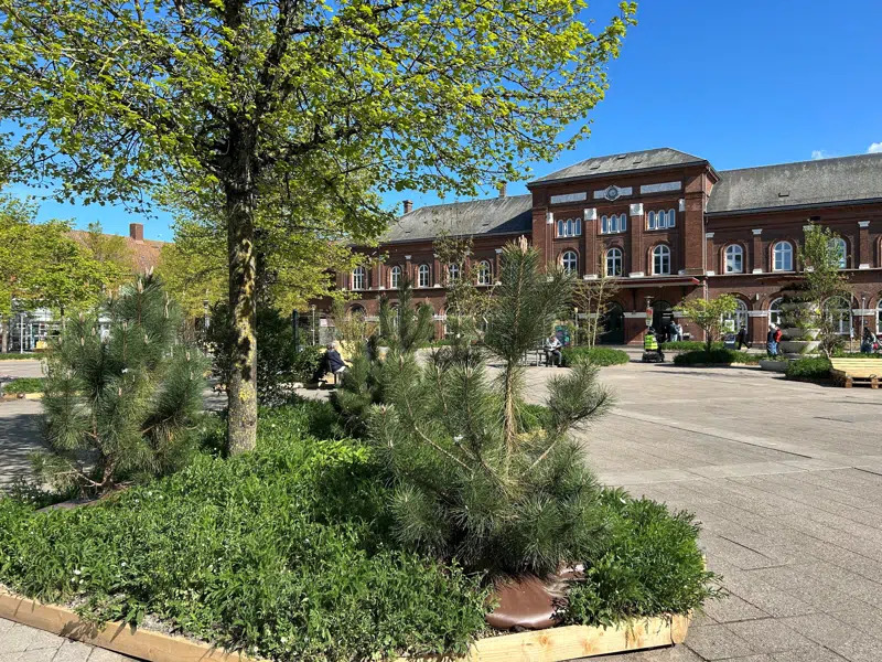 Ny grøn oase på Banegårdspladsen i Kolding inviterer til fællesskab og bæredygtighed