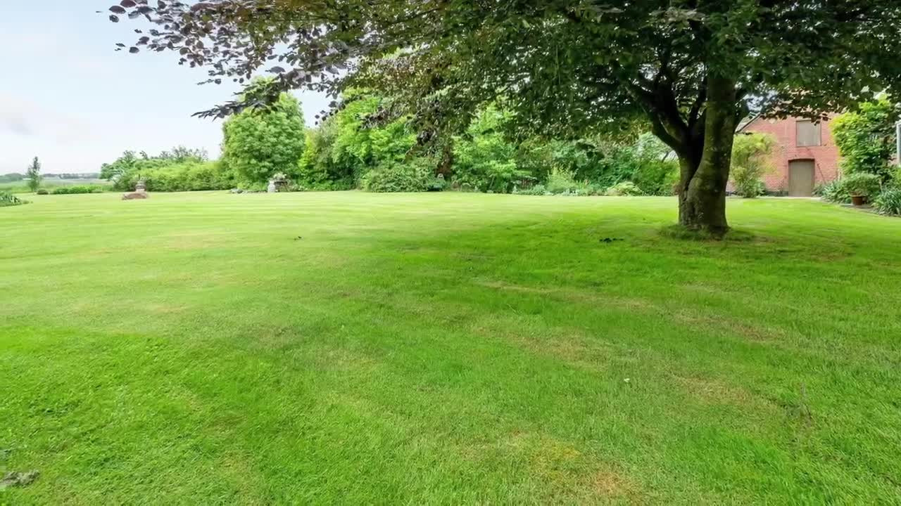 Se dagens updates fra Aalestrup her