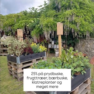 Opslagsbillede