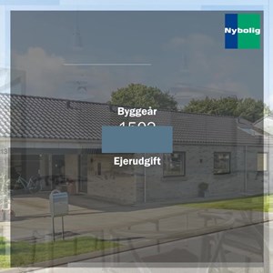 opslagsbillede
