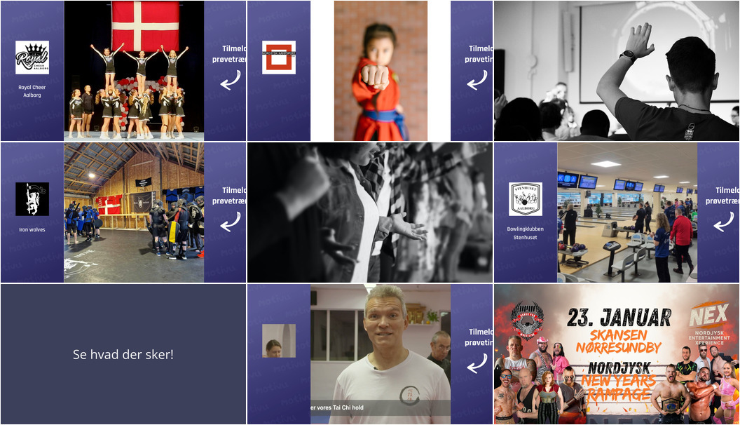 Oplev Royal Cheer, Jiu-jitsu træning og live wrestling i Nørresundby - se hvad du kan opleve den kommende uge