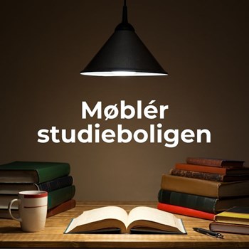 Opslagsbillede
