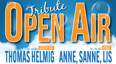 Musikfest i Helsingør: Oplev de bedste danske coverbands