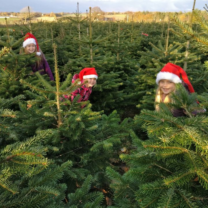 Nyt på opslagstavlen i Kjellerup