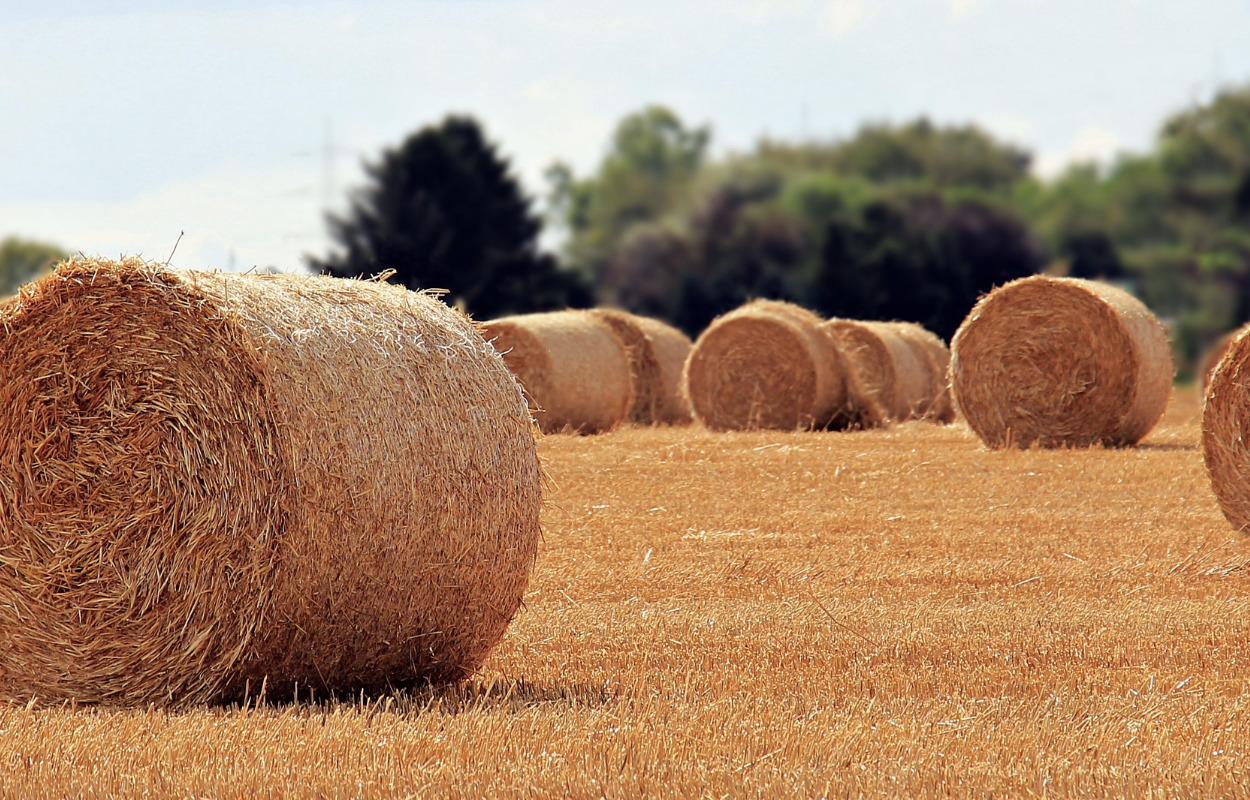Skive: Nyt GreenLab-anlæg indviet af Kronprinsen