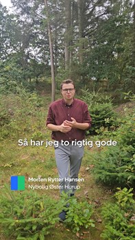 Opslagsbillede
