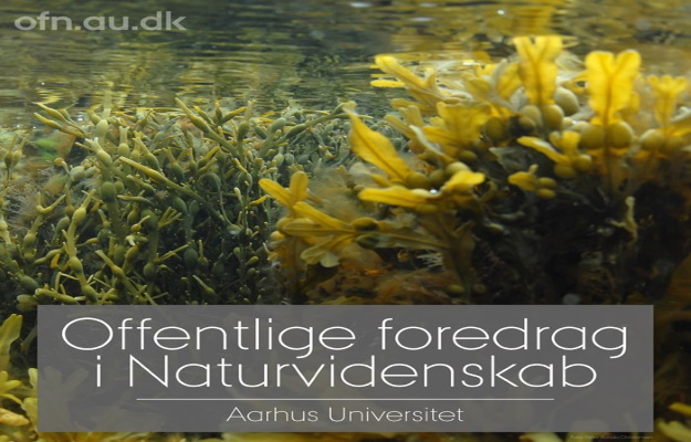 Tang - online foredrag fra Aarhus Universitet