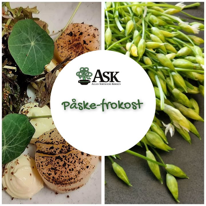 Ask opfordrer til at forkæle påskegæster med tapas fra professionelle kokke