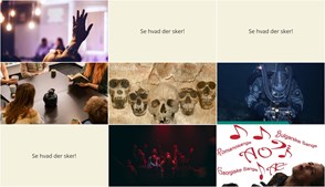 Spændende aktiviteter i Nykøbing Sjælland: Fra sundhedsrådgivning til evolutionære opdagelser