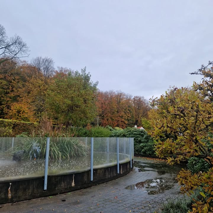 Guldsmed Ø markerer efterårets ankomst med et særligt smykkeudvalg fra 900 kr.