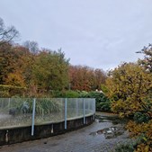 Guldsmed Ø markerer efterårets ankomst med et særligt smykkeudvalg fra 900 kr.