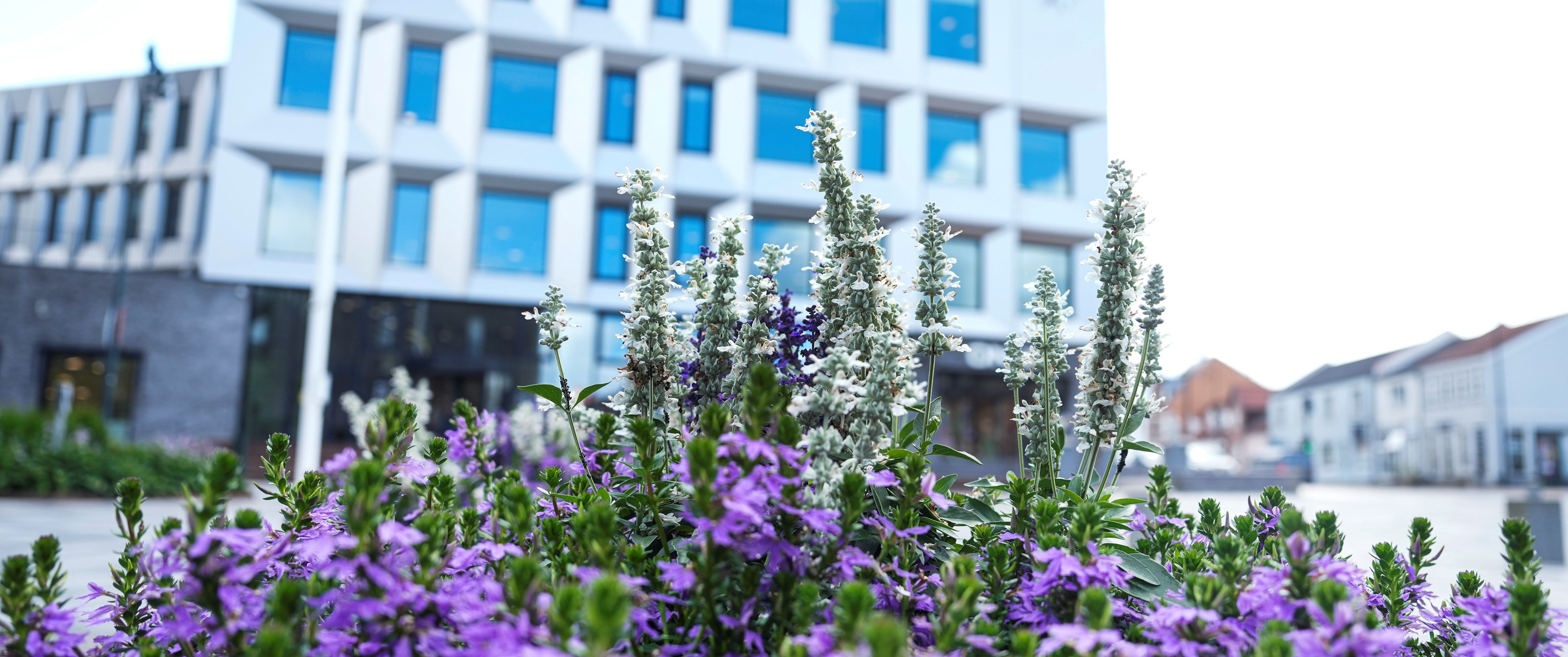 Middelfart Kommune holder informationsmøde for erhvervsdrivende om kommende anlægs- og byggeprojekter