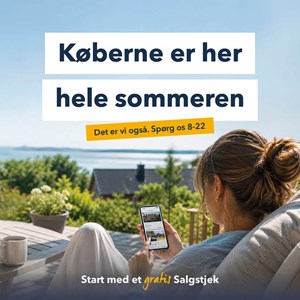 Opslagsbillede