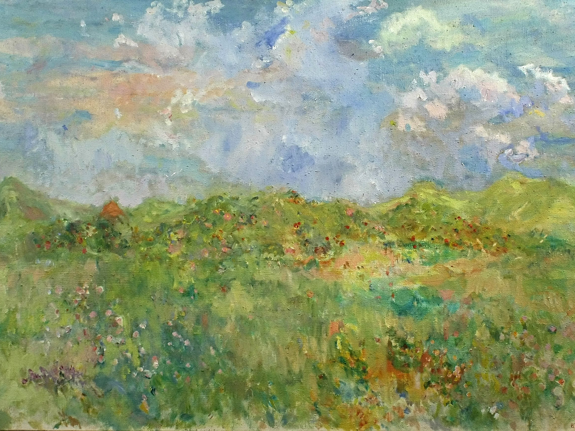 Oplev kultur og kunst på Heltborg Museum