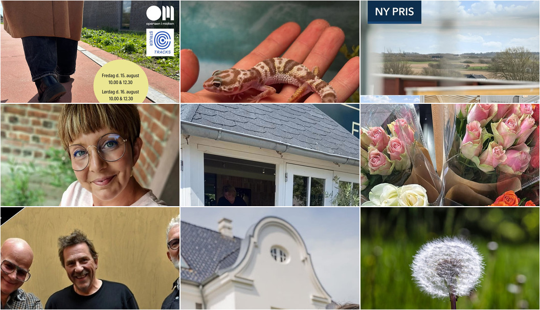 Nyt fra CAMILLAS DYRECENTER, Florist Pernille DB, Museerne i Holstebro og 6 andre