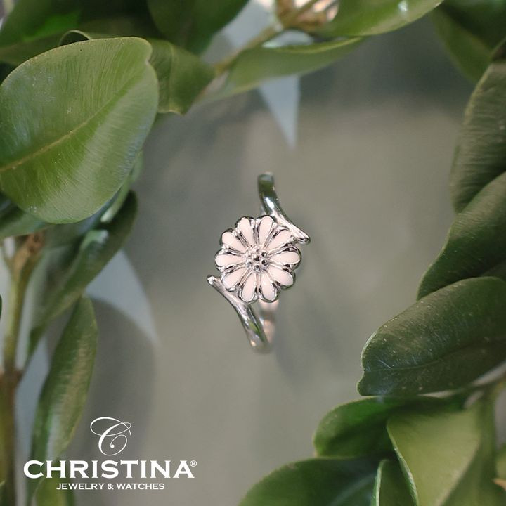 En finger på pulsen i Hobro