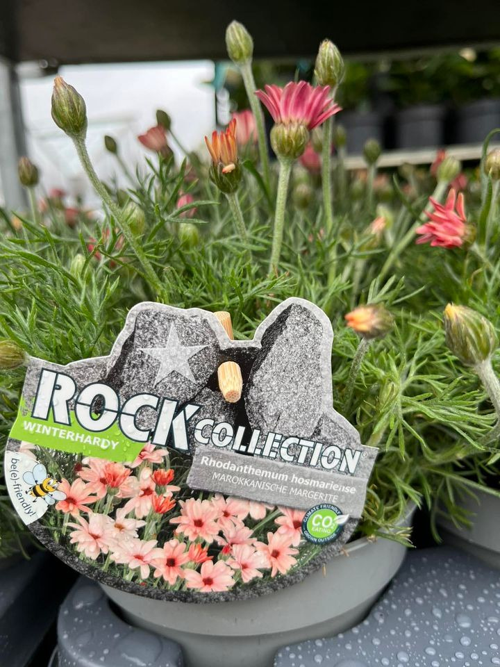 Hold dig ajour med dagens opdateringer fra Horsens