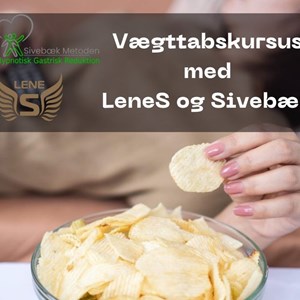 Opslagsbillede