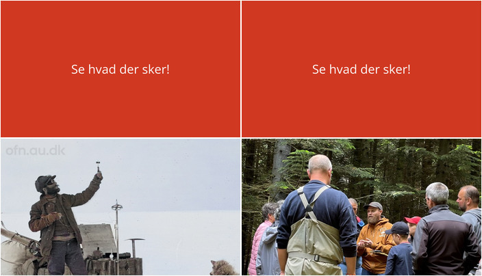 Udforsk Grønland eller gå i Naturpark Åmosen – hvad du kan opleve i Stenlille den kommende uge