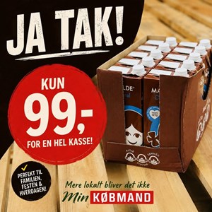 Opslagsbillede