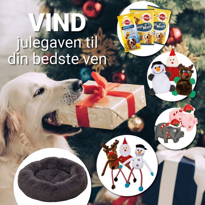 Seneste nyt fra lokalområdet på sociale medier