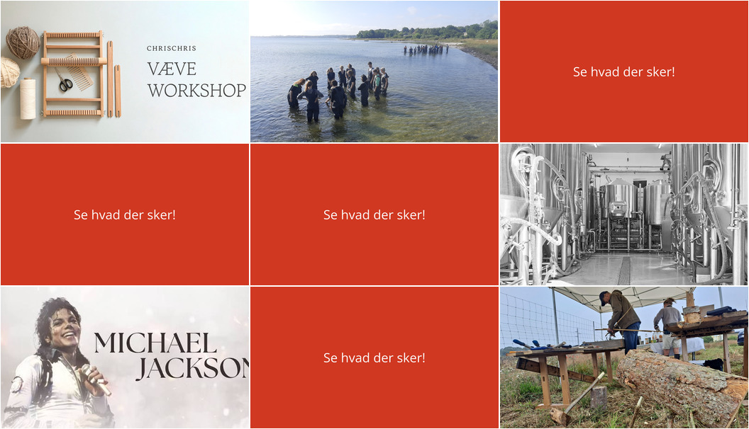 Oplev Nykøbing Sj denne weekend: Vævekunst, tangsafari og musikoplevelser