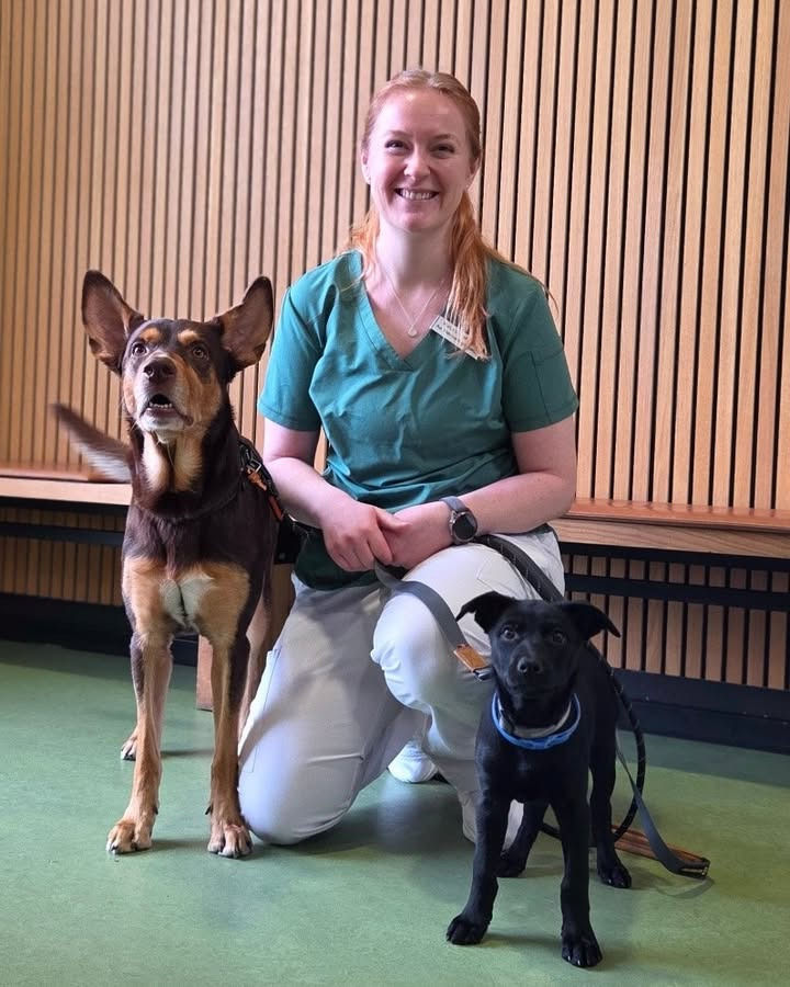 Dyrehospitalet Heden byder velkommen til ny veterinærsygeplejerske