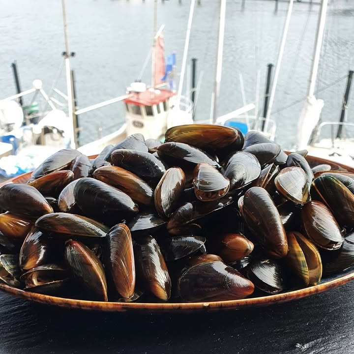 Nyt fra Beringsslagteren ApS