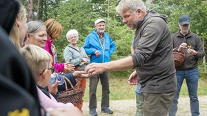 Svampejagt i Vrøgum: En efterårsfejring af naturens skatte