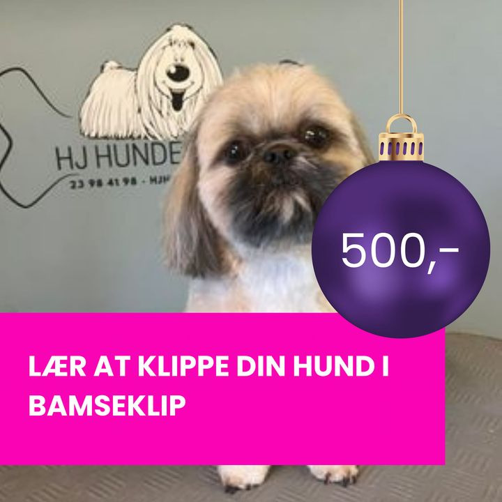 Opslagstavlen: Nyeste opdateringer fra Sæby