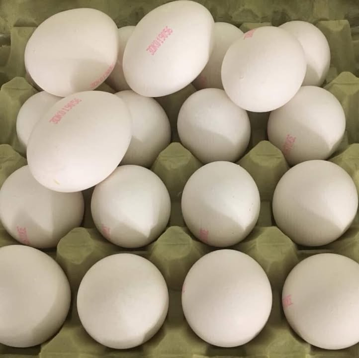 Min Købmand Øster Bjerregrav tilbyder store jumbo æg til ja tak pris