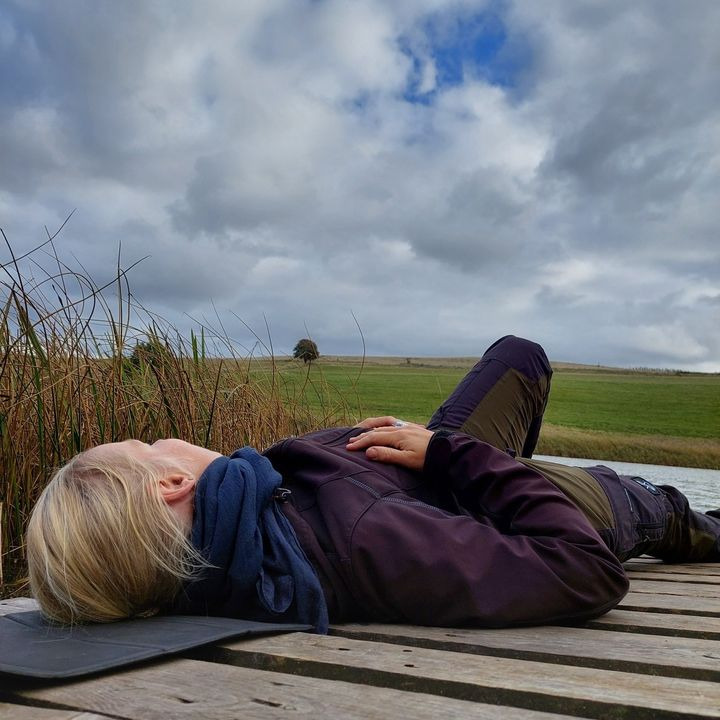 Det nyeste på Hammels opslagstavle