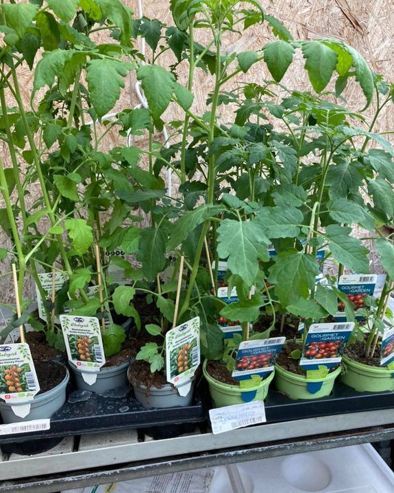 Hold dig ajour med dagens opdateringer fra Hobro