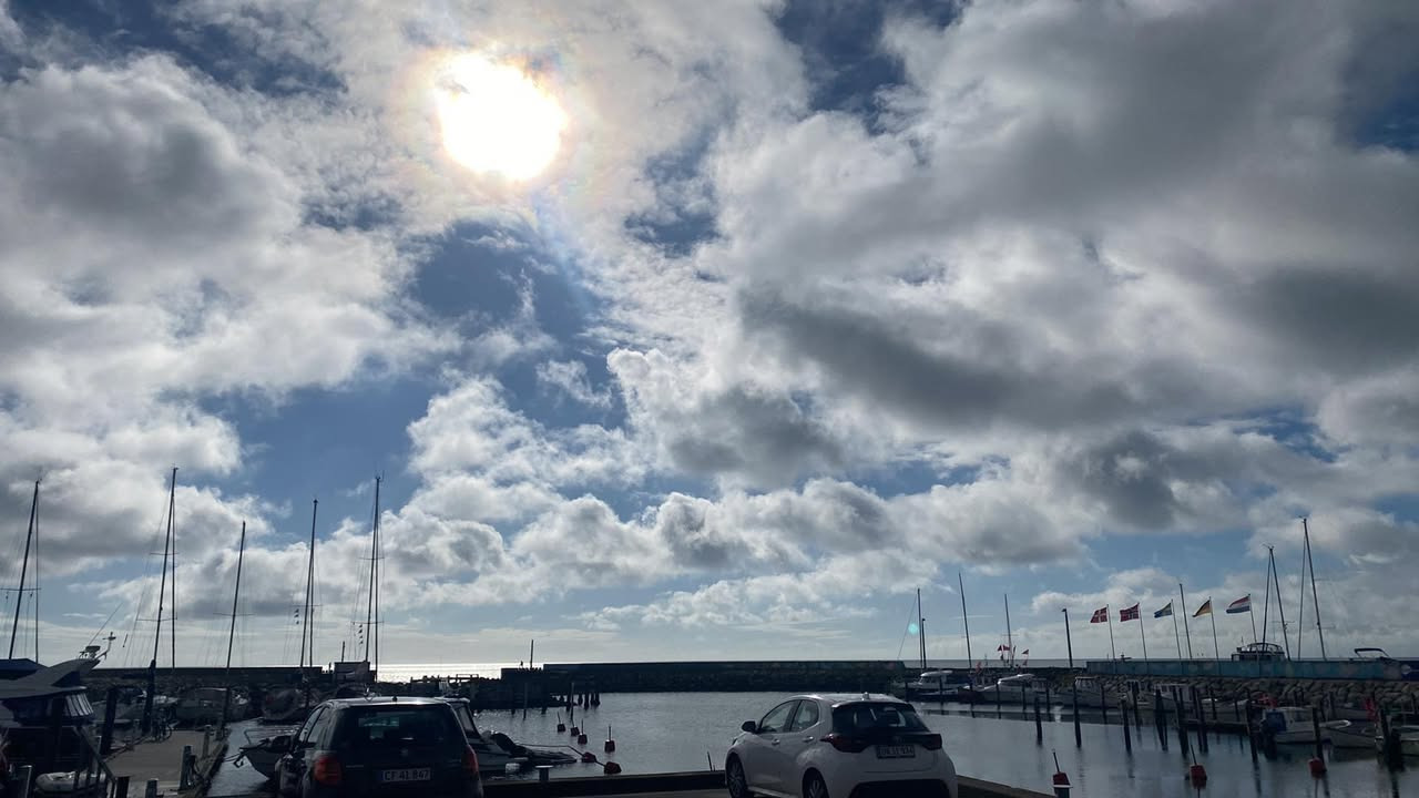 Havnens Fisk Øster Hurup tilbyder stegte ål på menuen i uge 28