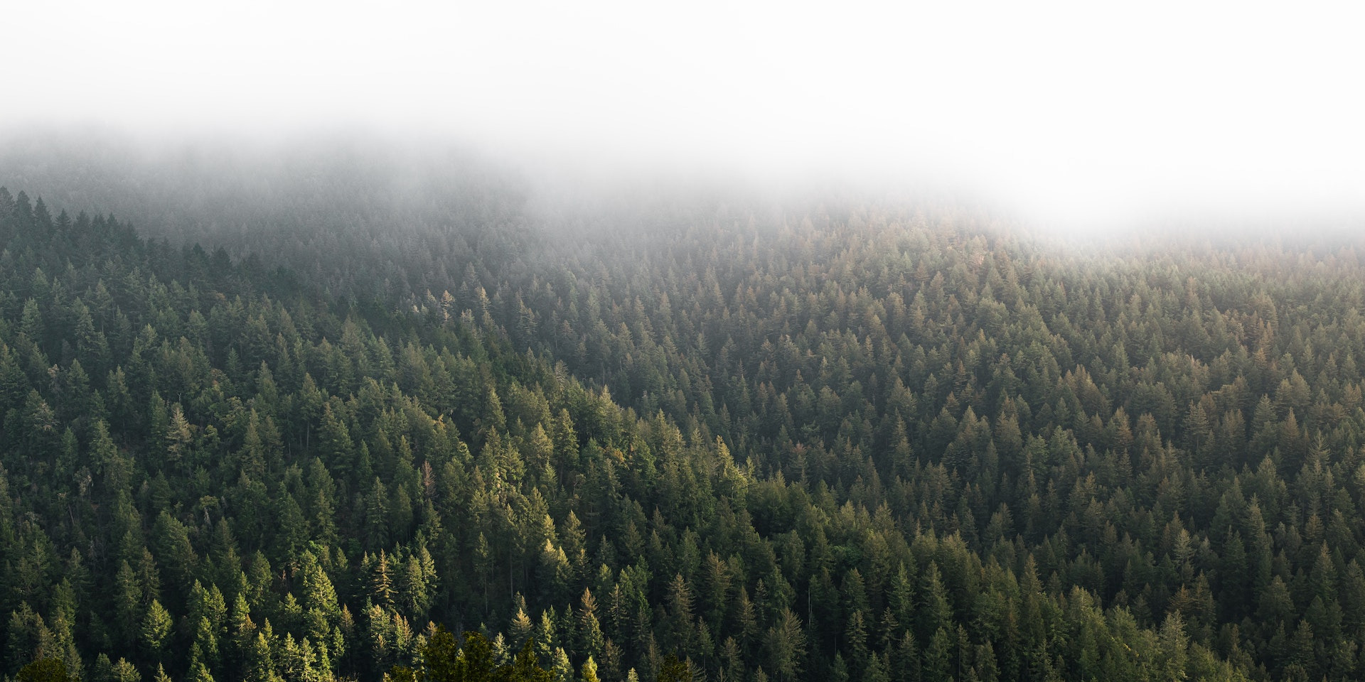 Silkeborg - en af Jyllands perler