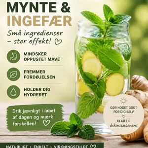 Opslagsbillede