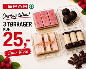 opslagsbillede