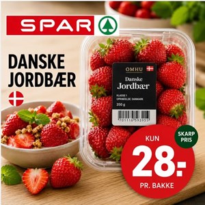 Opslagsbillede