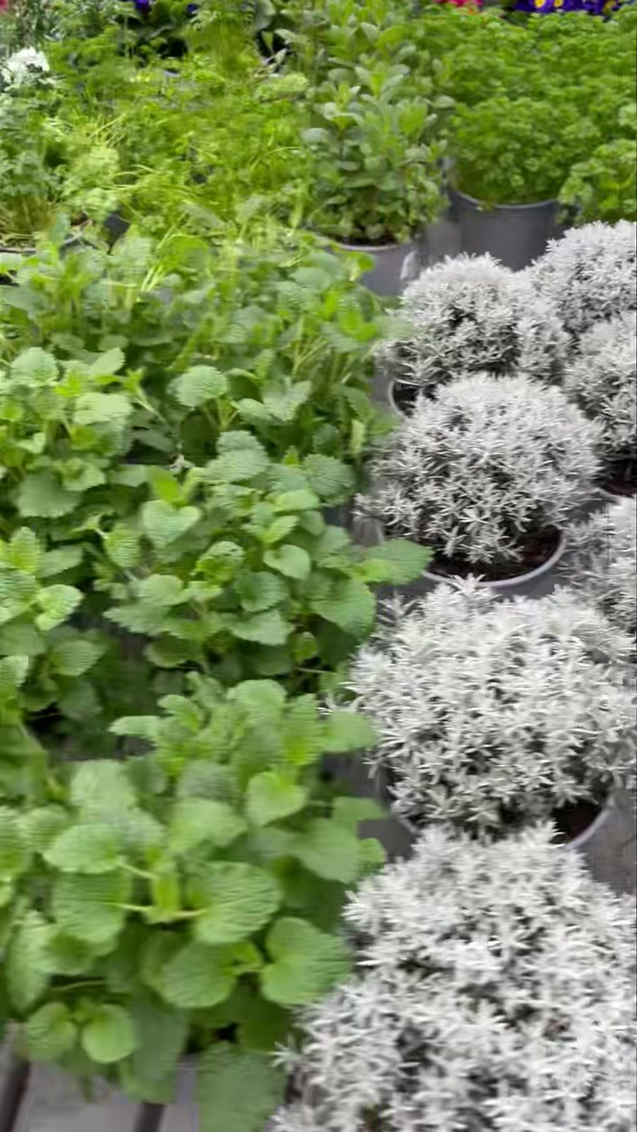 Se dagens updates fra Hedensted her