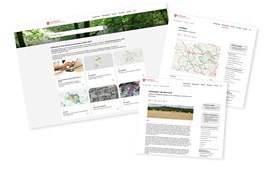 Ny godkendt kommuneplan baner vej for bæredygtig udvikling i Ikast-Brande frem til 2037