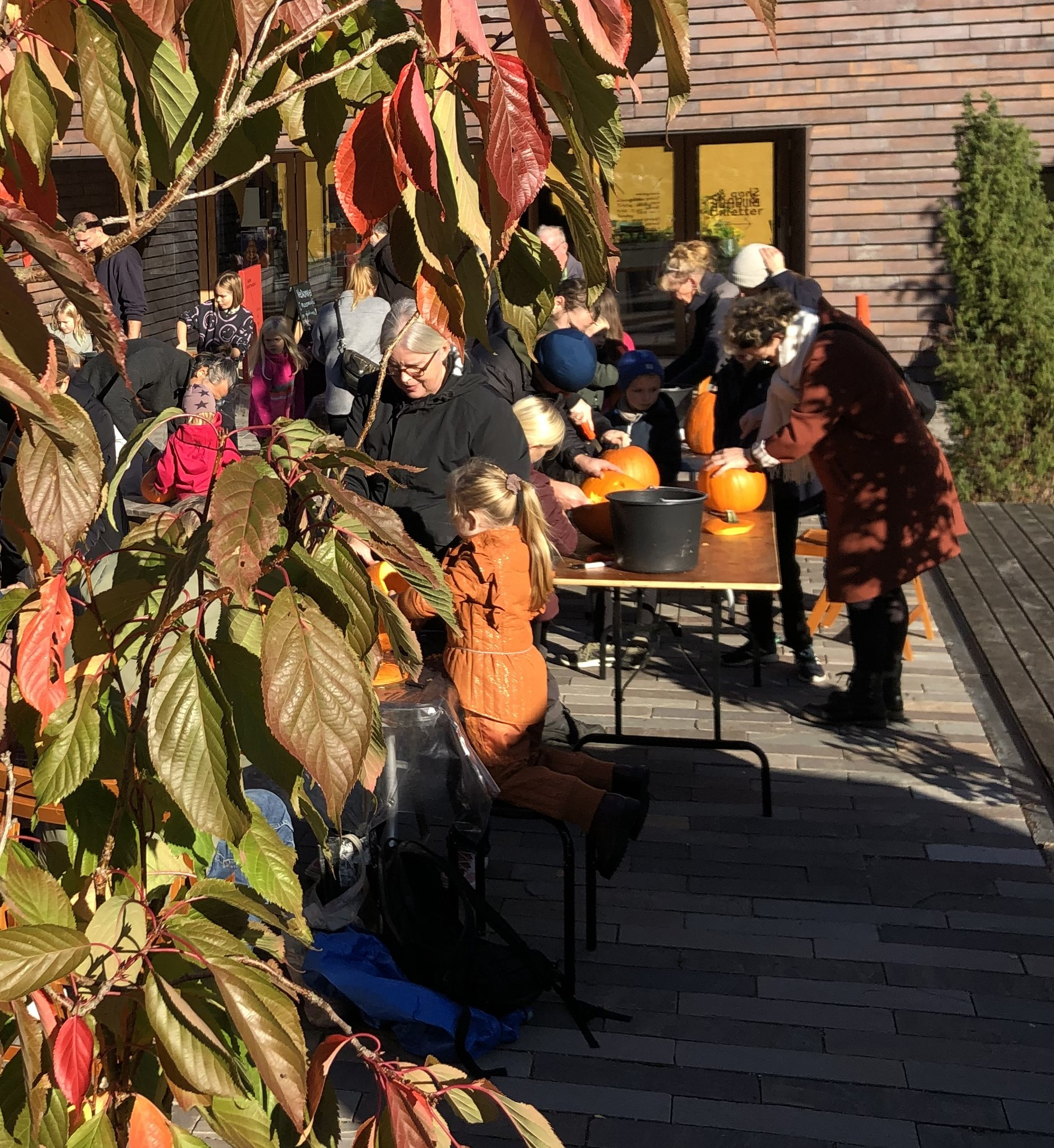 Skab skræmmende græskarlygter i Sorø