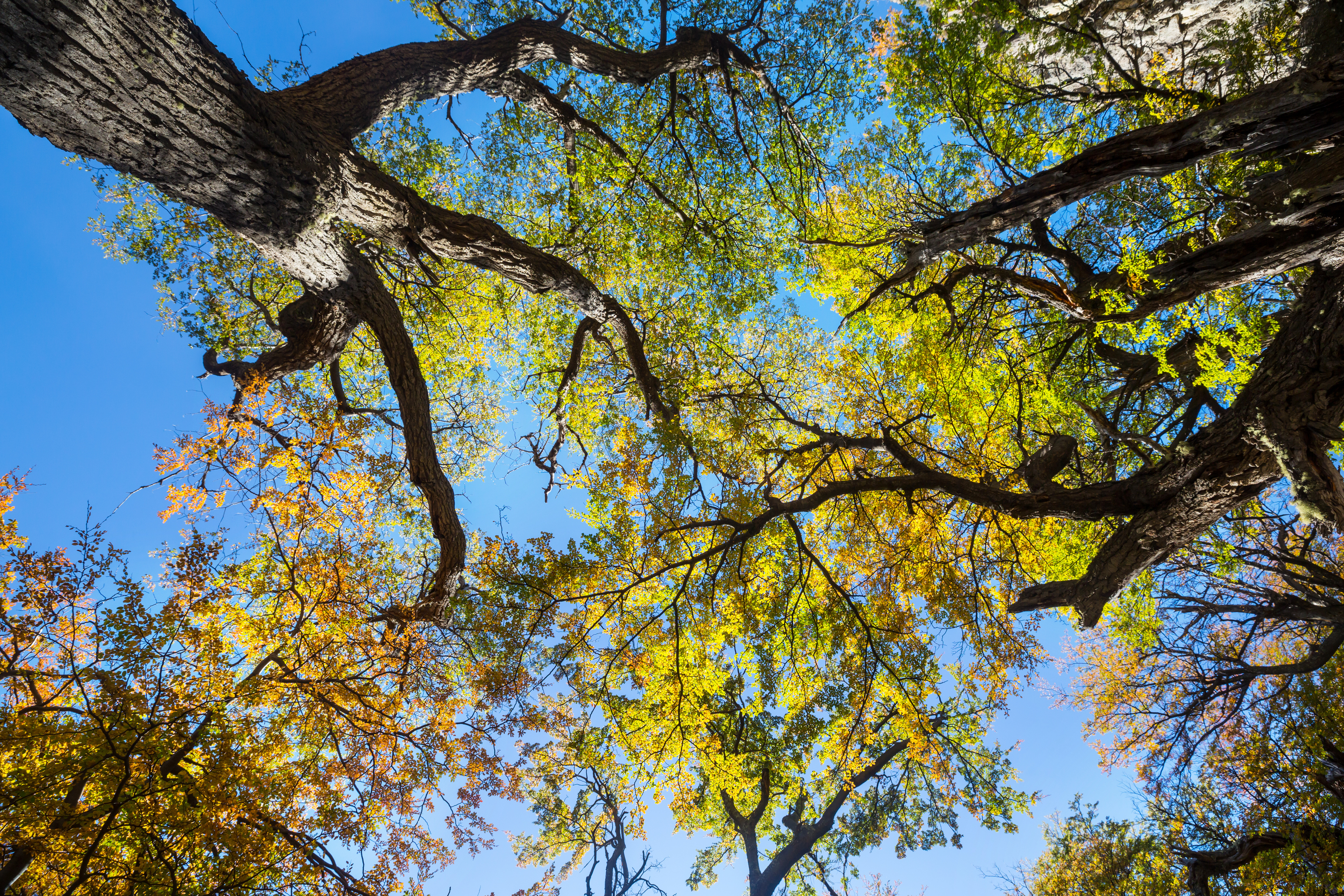 Oplev historien om Christinelund og familien Stampe