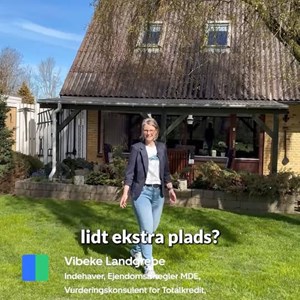 Opslagsbillede