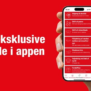 Opslagsbillede