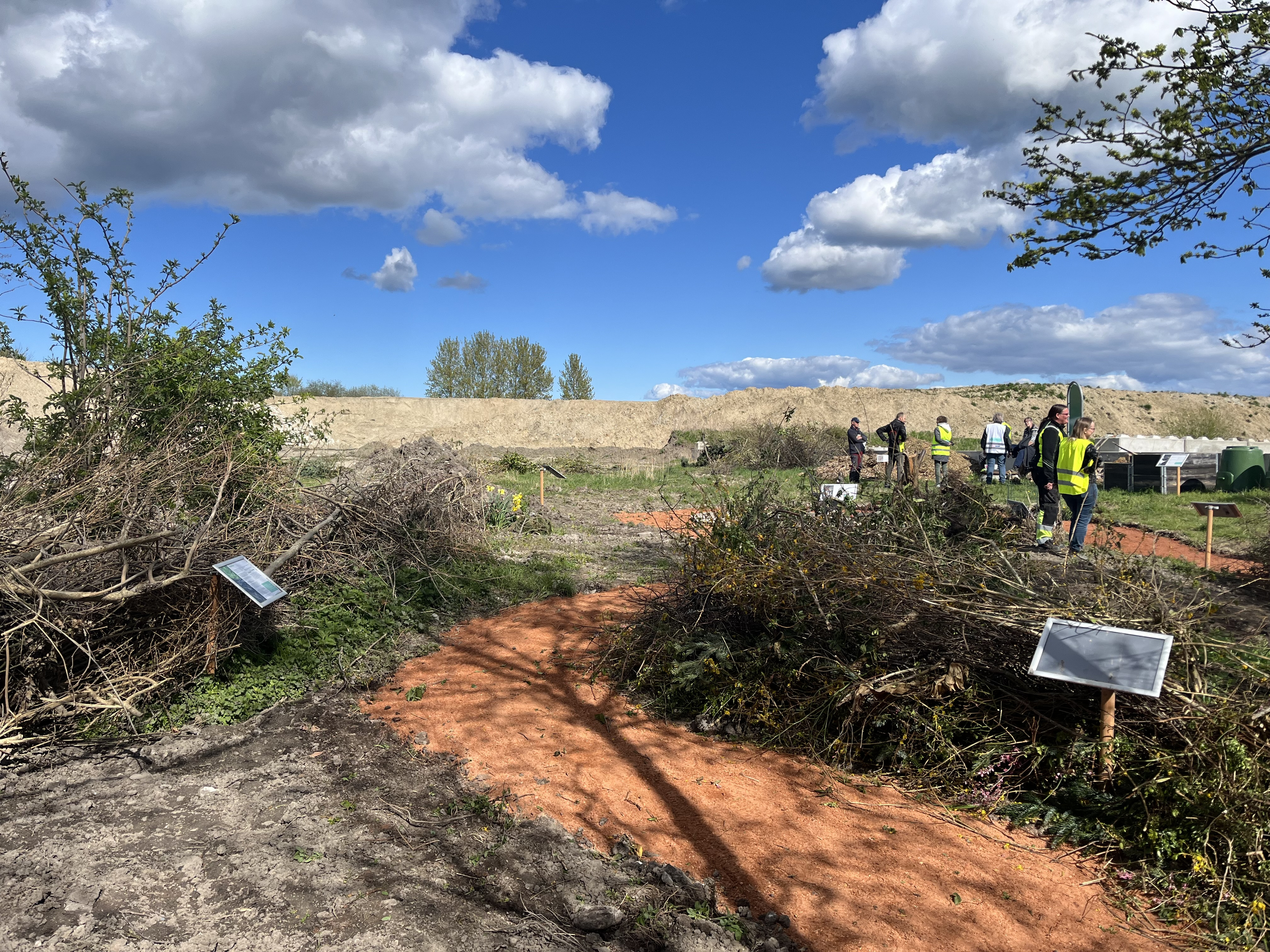 Plant en skov for 100 kroner i Fårevejle