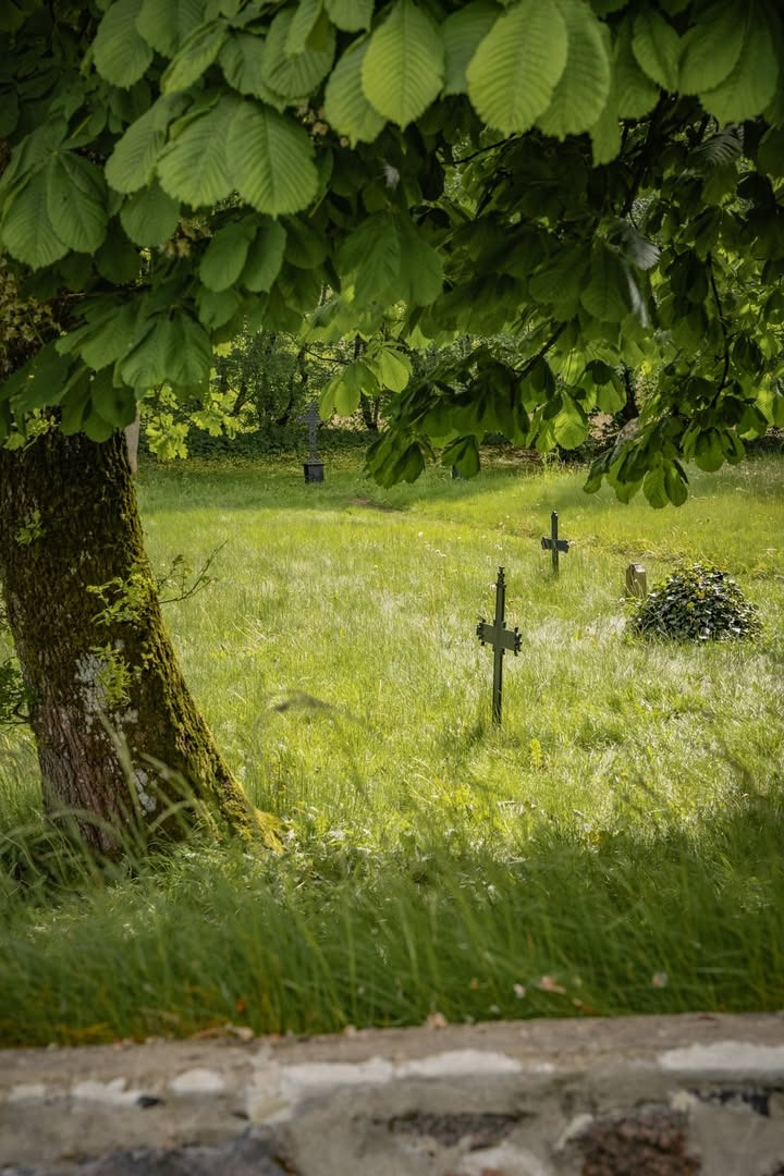 Opdag historiske Tvis Kloster med Museerne i Holstebro